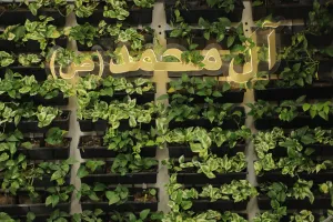 فضای داخلی کلینیک