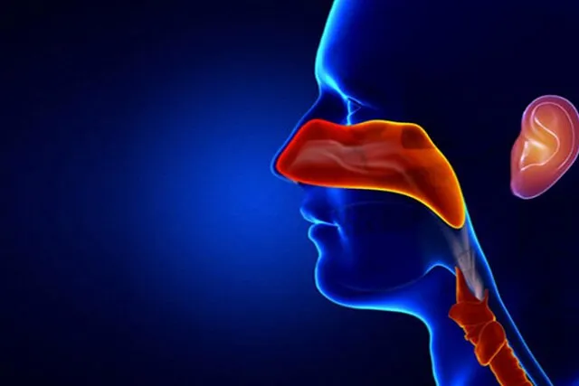 کلینیک گوش، حلق و بینی