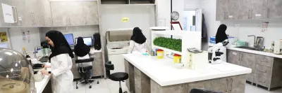 اورژانس